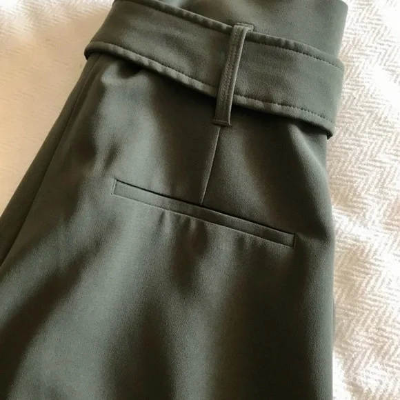 Aritzia Taupe High-Rise Belted Pants - Picture 12 of 12